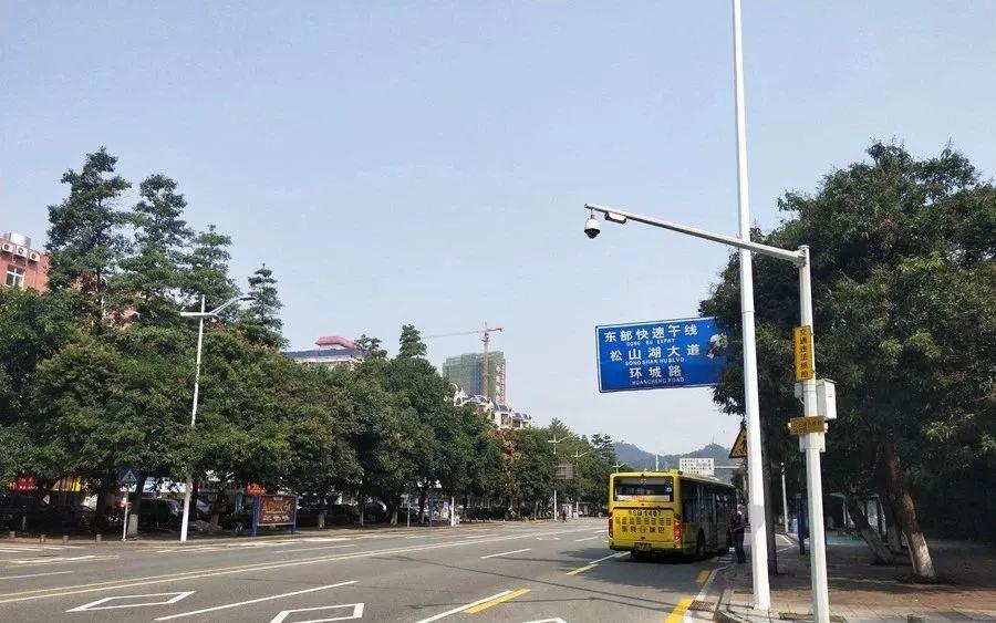 东莞司机注意！本周日实施！走错罚150元.....