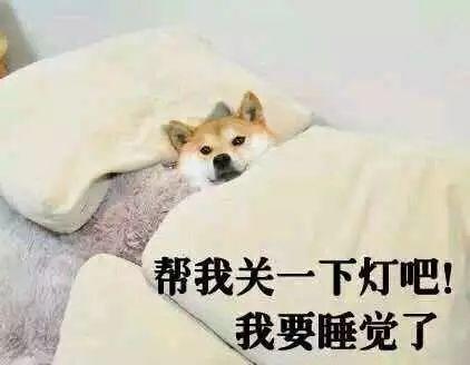 对不起，吓到大家了！