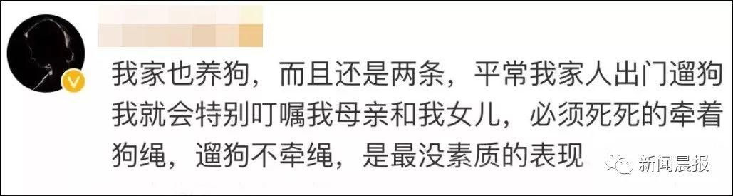 女子遛3只狗不牵绳！男子遭狗撕咬受伤严重，缝了30多针