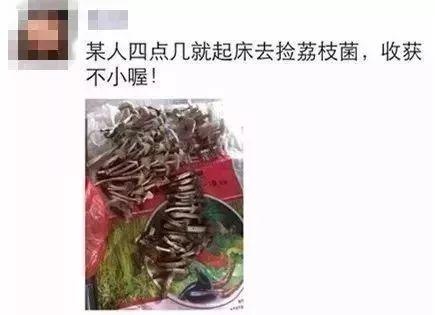 卖成700元/斤！最近很多东莞人连夜去找它！你吃过没？