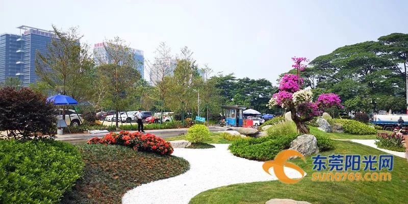 紧急提醒！明天东莞这些路段禁止通行！