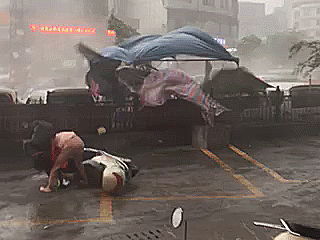 号台风来啦！东莞的天气将会..."