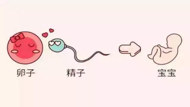 震惊了！一对双胞胎竟是同母异父？概率百万分之一！只因母亲…