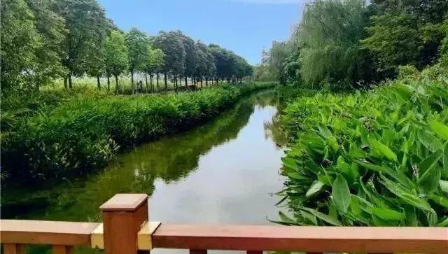 惊喜！东莞这么多景点都免费啦！五一不愁没地方玩了！