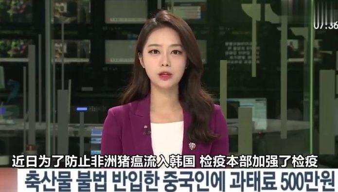 东莞人注意！中国游客入境被罚500万！只因带了这东西...