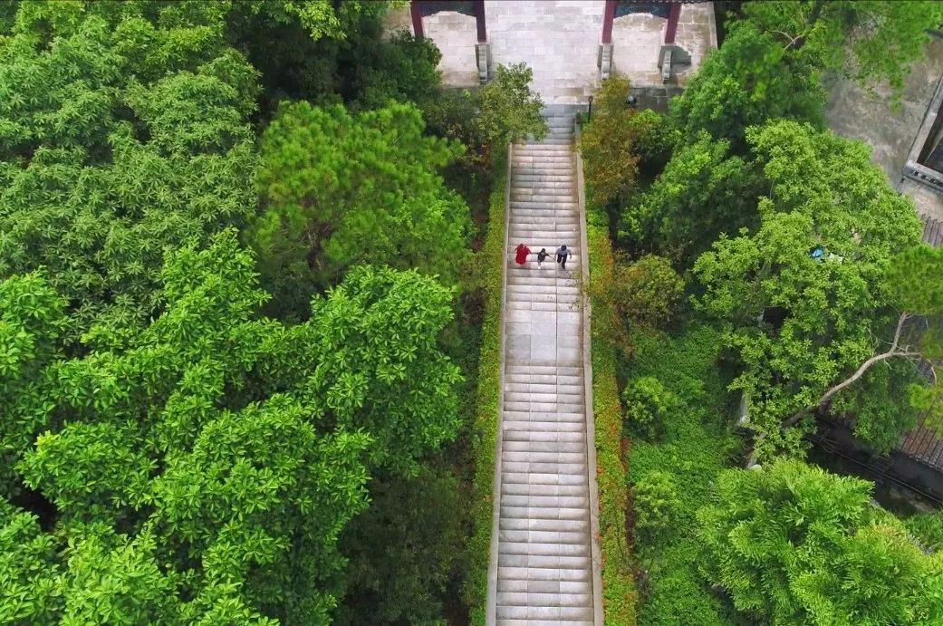 疫情结束后，想和你一起去看隐贤山庄的春天....