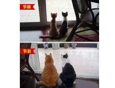 东莞人做好心理准备！最难熬的一个月来了！坏消息一个又一个……