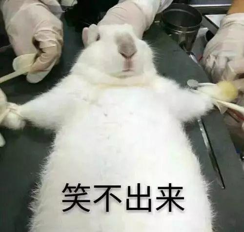 冷空气已发货！最低气温14℃，东莞人挺住，接下来的日子难熬了...