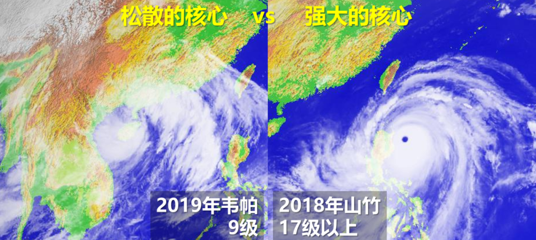 紧急！3号台风即将登陆！东莞正式上线大风大雨套餐！