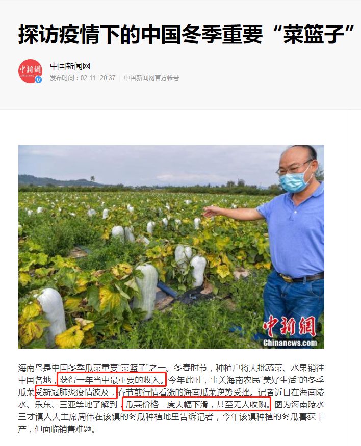 疫情之下，海南贵妃芒也难逃封村命运！隔离不隔爱，请助力果农脱困！29.9/箱