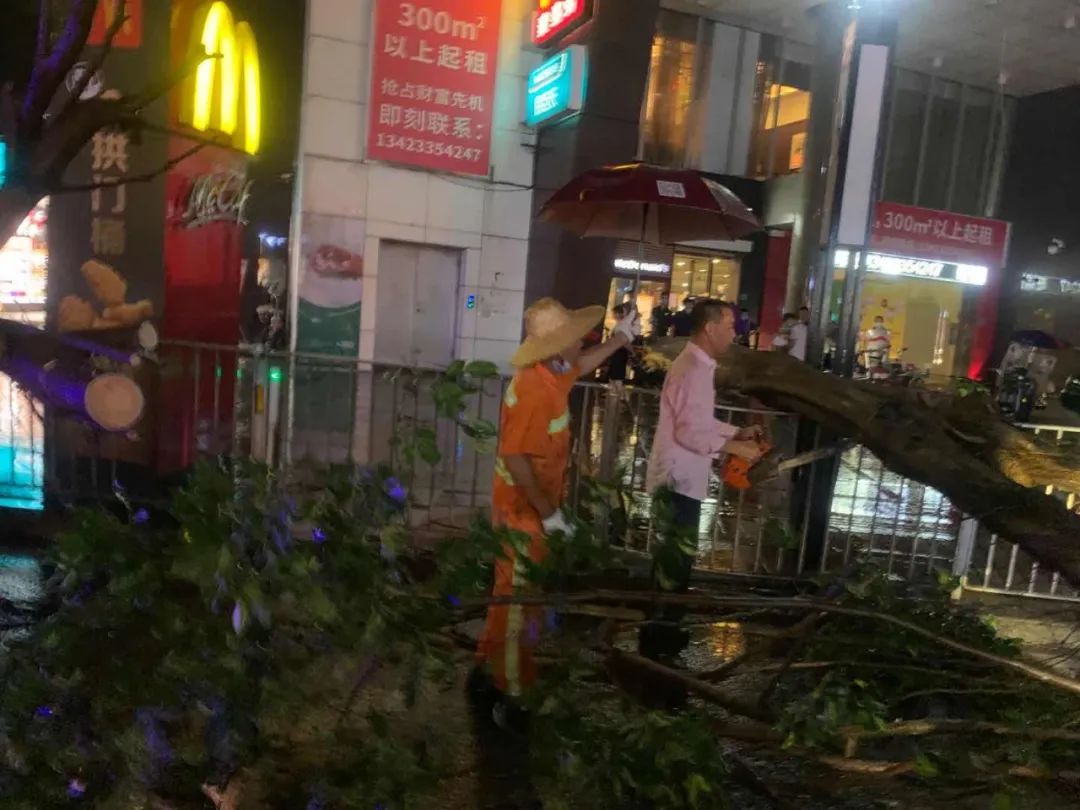 突发! 东莞昨晚狂风雷暴雨的4小时, 有人被大树压着, 有人被困, 有人......