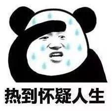 又一波冷空气来袭！东莞气温降至“1”字头！