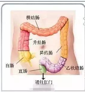 最壕阳台惊呆路人！这才是东莞大户人家！