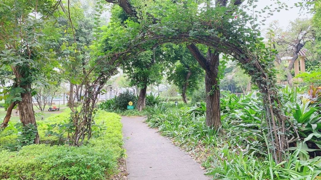 【东莞·5星汇景自助餐】爆款来袭~99.9元东莞汇景酒店雅琴西餐厅自助晚餐~日料、刺身、海鲜、中菜···100+菜款海量任吃！