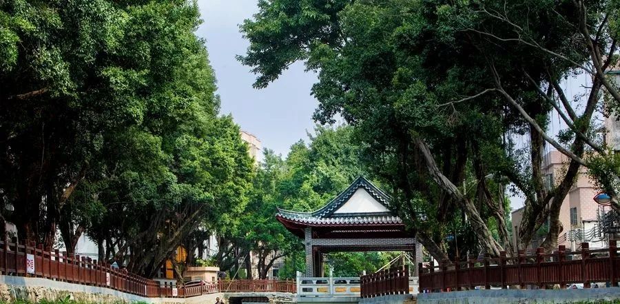 东莞上百条村“大改造”！快看看有没有你们村！
