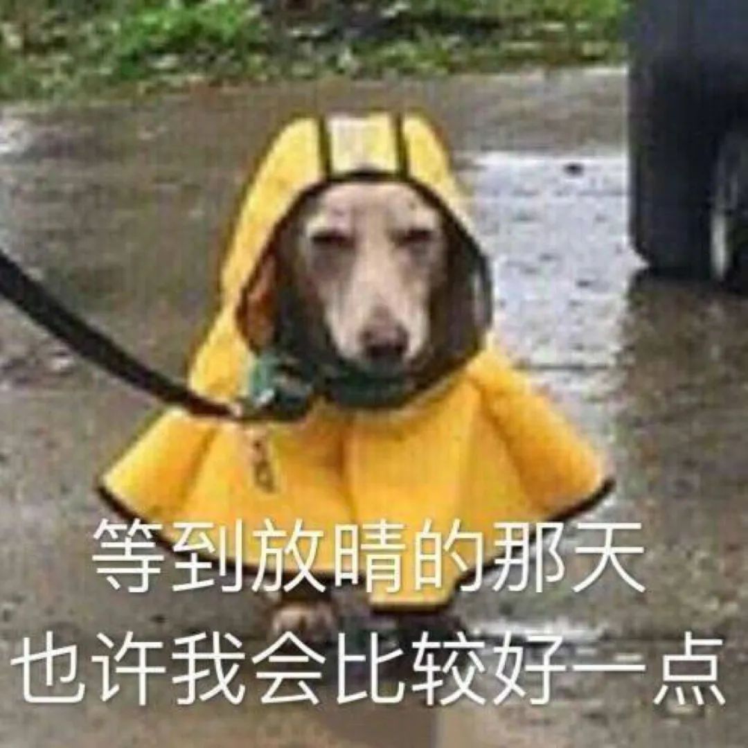 一天3次雷雨大风黄色预警！东莞人的周末怎么过？