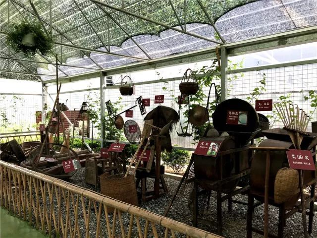 东莞最新网红休闲胜地~12.8元抢东江印象生态园观光票，海上丝路长廊、印象风车、孔雀观赏····休闲假日！秋游拍摄~共度欢乐时光