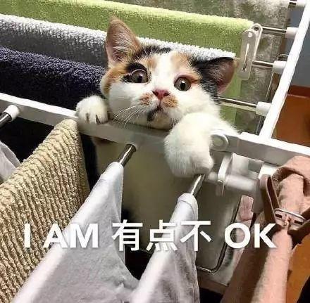 @东莞人，公布了！最新法定结婚年龄公布！网友：改到30岁吧...