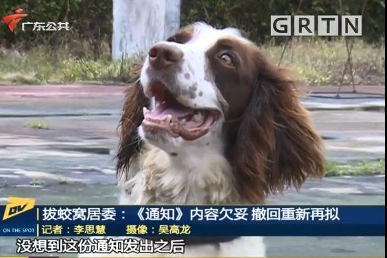 东莞一居委会发通知杀狗，宠物也有感染新冠肺炎风险？官方回应来了！