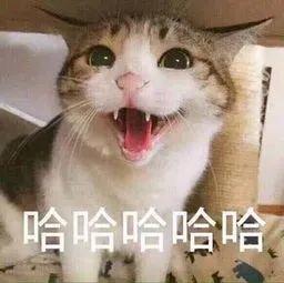 冷空气今晚到货！东莞降温+雨雨雨！至于回南天…