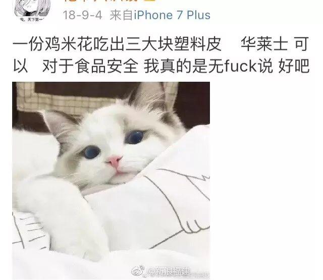 太恶心！东莞人常吃的华莱士后厨大曝光！过期汉堡、蟑螂出没，还有…触目惊心！
