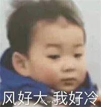 好！大！的！风！冷空气正在深入，你的发型还好吗？