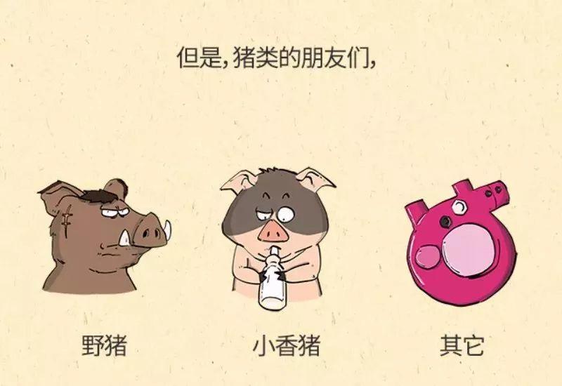 朋友圈里的“猪瘟”请刹车！权威消息来了！东莞人可以放心啦！