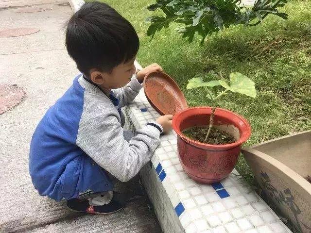 预警！东莞已有7人疑患这种病被隔离，都来自同一条村！感染原因竟是……