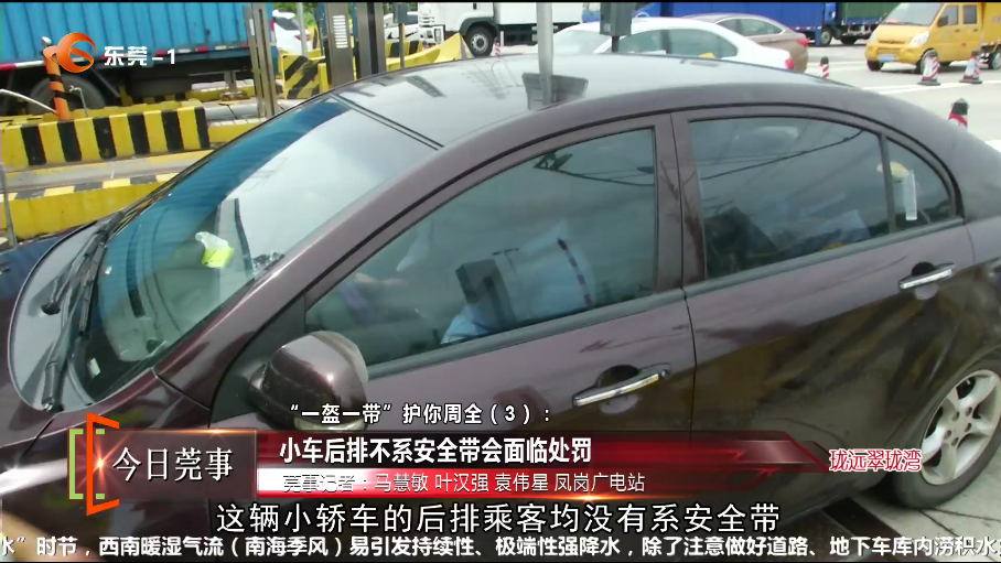 后排不系安全带？罚！东莞正在严查，已有多人被罚！