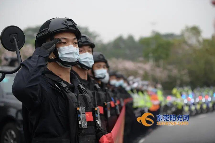 转发点赞！东莞英雄回来了！全城亮灯，第一张图就戳中泪点
