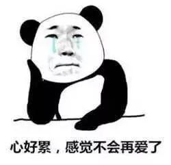 紧急！台风“白鹿”刚刚生成！直指广东！东莞人挺住！