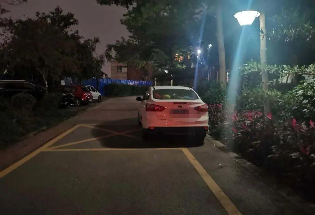 东莞一小区物业被罚4.5万元！只因车辆这样乱停乱放…