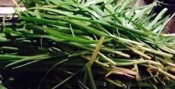 立春后千万别吃韭菜，快告诉全家人！越早知道越好！