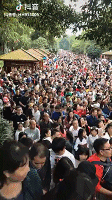 我后悔了！不该出来浪的，我要回家！！！