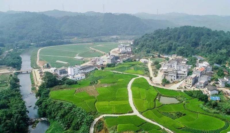 月1日起，东莞人这样建房子后果很严重！不仅要交钱还可能..."
