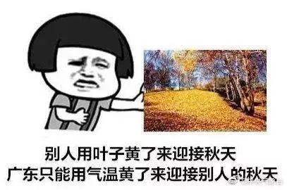 冷空气已发货！最低气温14℃，东莞人挺住，接下来的日子难熬了...