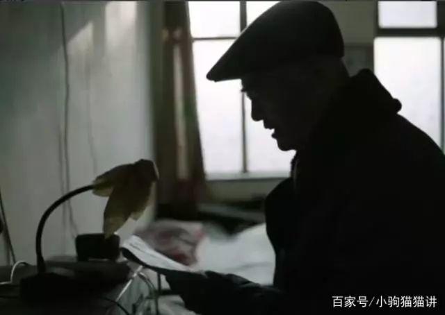 「啥是佩奇」走心刷屏！东莞人：爸，妈！今年我一定回家过年！