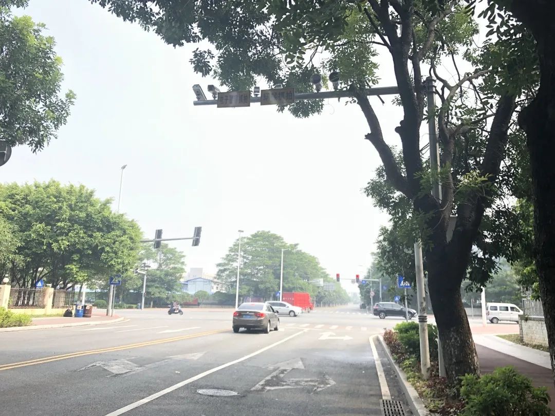 又是这里！粤S小车高速逆行，司机竟没察觉！交警调查发现…