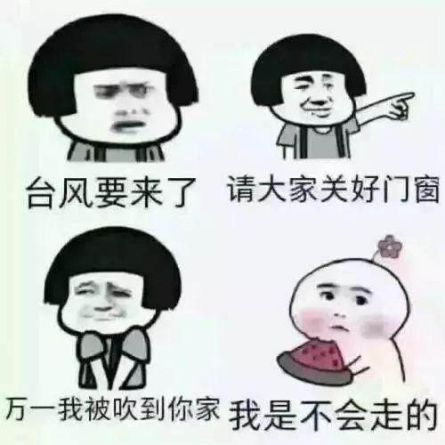 刚刚，12号台风“杨柳”已生成！13号台风即将生成！预计登陆广东！