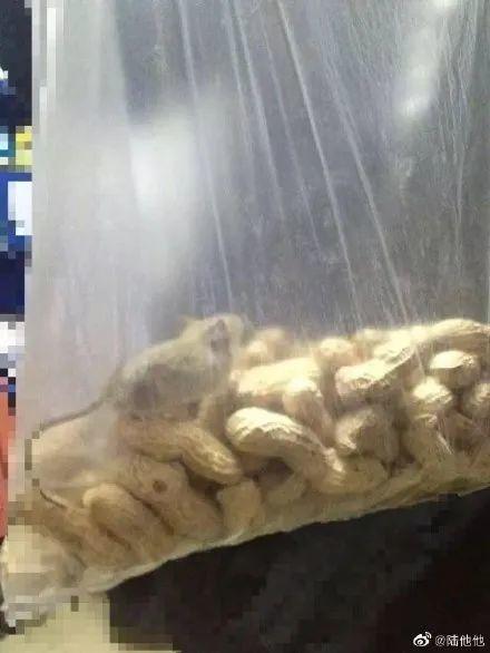 终于！东莞中小学确定返校时间！但必须要...