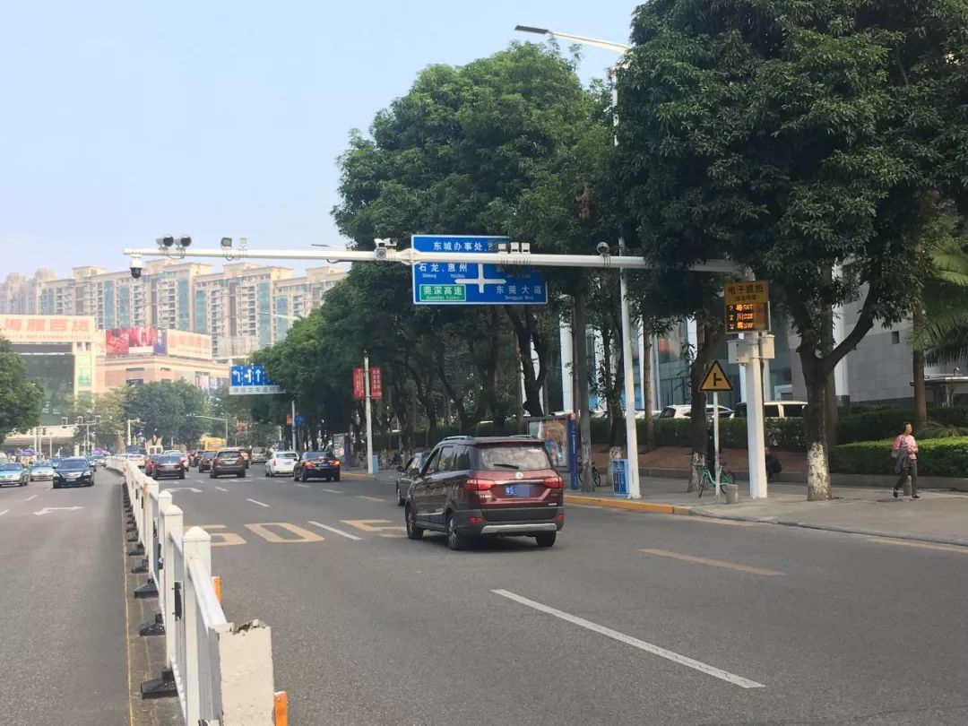 粤S的车主哭了！已有人被罚500元！