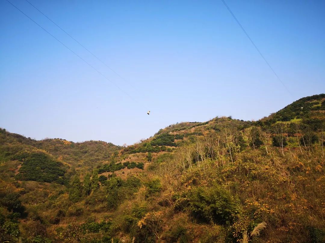 助力麻阳冰糖橙走出大山，留守老人一生良心种植，5斤仅19.9元，甜润爽口，生态健康！