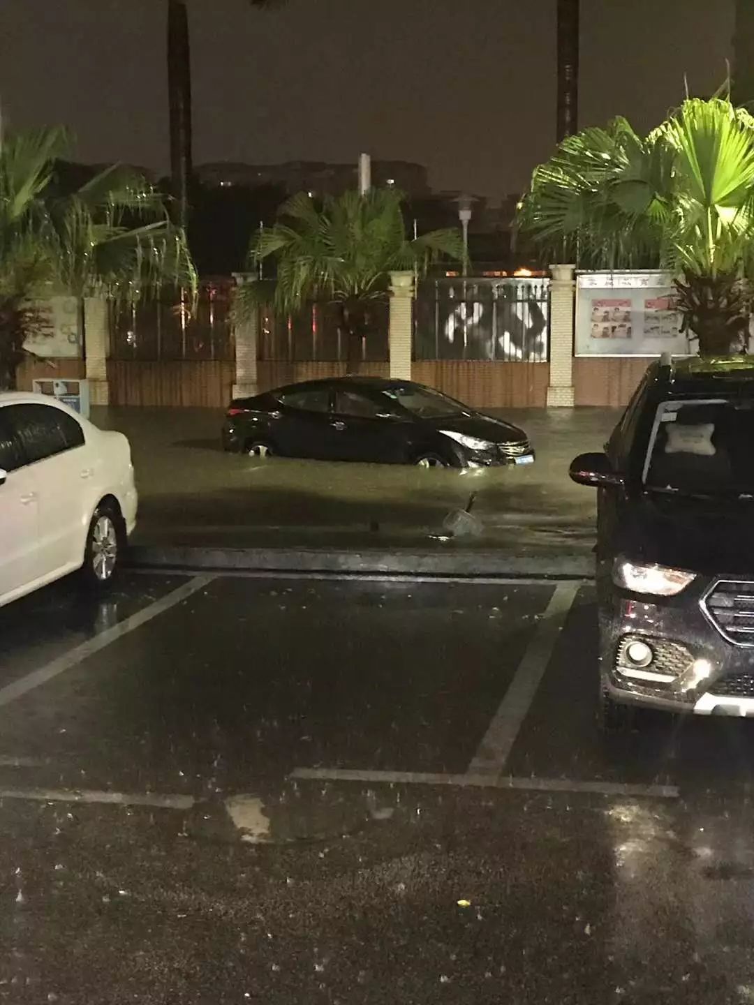 刚刚预警！一夜之间东莞多地被淹！还有更恐怖的......