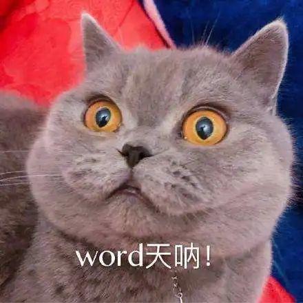 今早被热醒的东莞人，马上又要“凉凉”了！
