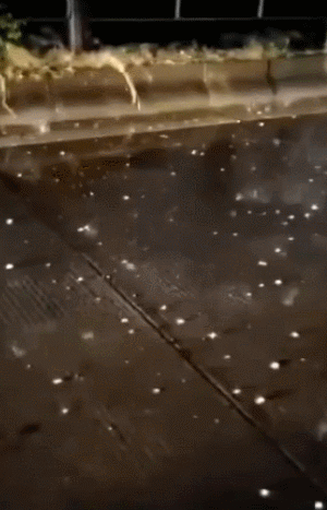 刚刚预警！一夜之间东莞多地被淹！还有更恐怖的......