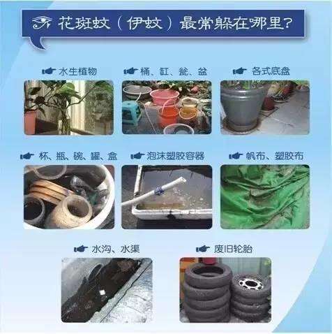 东莞有人已被隔离！这种急性传染病，正高发！