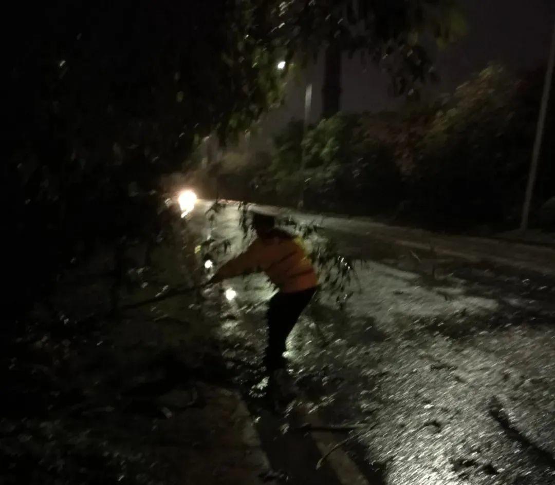 突发! 东莞昨晚狂风雷暴雨的4小时, 有人被大树压着, 有人被困, 有人......