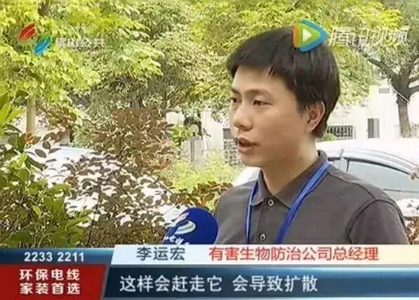 吓哭！太多多多……了！最近东莞人被吓得不敢开灯，只因它们又来轰炸了！
