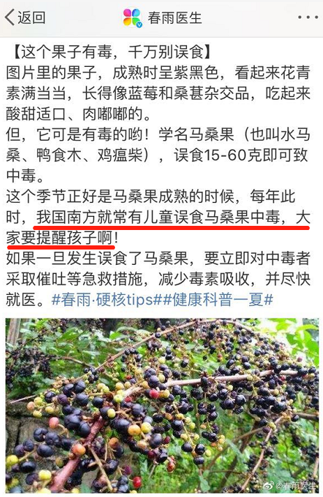 注意! 吃了这种果子, 4个孩子在路边呕吐, 一人昏迷! 东莞特别多....