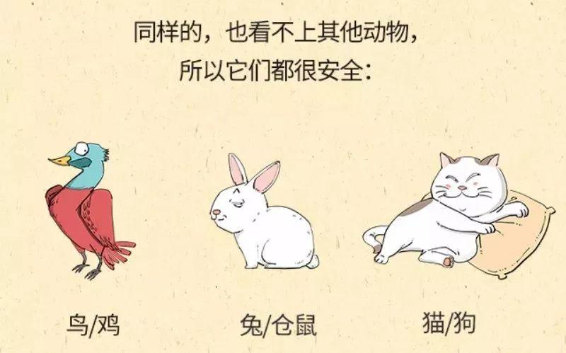 朋友圈里的“猪瘟”请刹车！权威消息来了！东莞人可以放心啦！